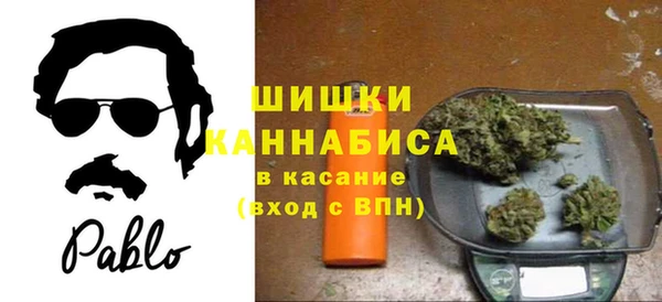 крисы Аркадак