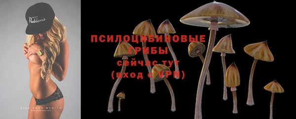 spice Балабаново