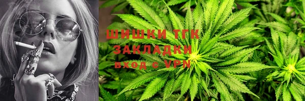 крисы Аркадак