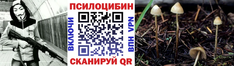 Галлюциногенные грибы Cubensis  как найти закладки  Себеж 