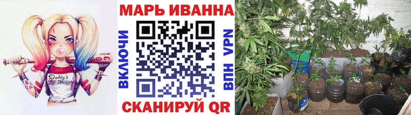 Марихуана Amnesia  Себеж 